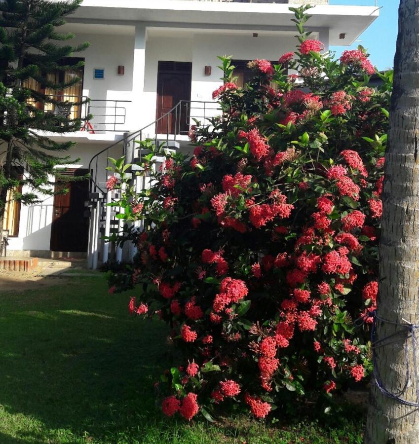 Dreamvillage Dodanduwa Exterior photo